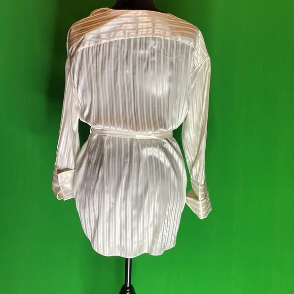 Aritzia, Zelle shirt, belted , Blouse Silk - Picture 11 of 11